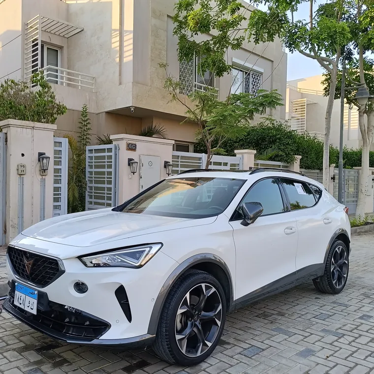 كوبرا فورمنتور بعد الغسيل